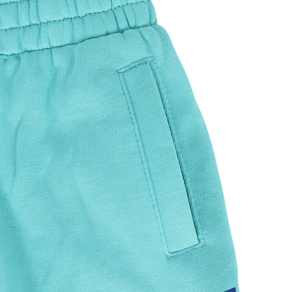 ナイキ（NIKE）（キッズ）トドラー NKN N NSW CLUB FT HBR ジョガーパンツ 76L099-EIG