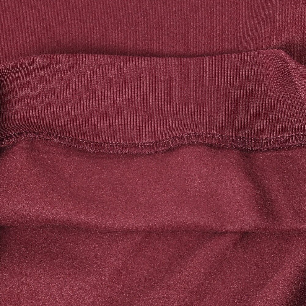 プーマ（PUMA）（キッズ）ガールズ ESS ロゴ フーディドレス 672562 22 VLT
