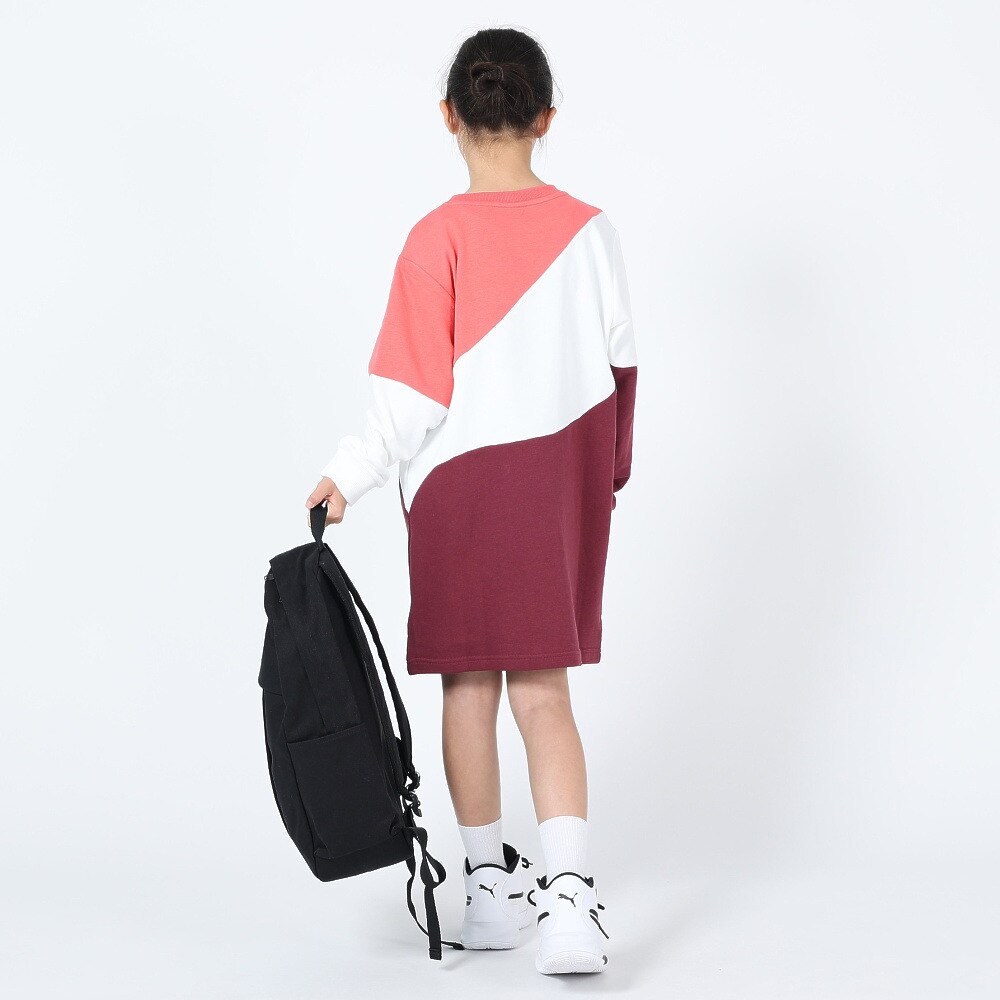 プーマ（PUMA）（キッズ）長袖スウェット キッズ PUMA POWER キャット ドレス TR 678566 22 PWHT