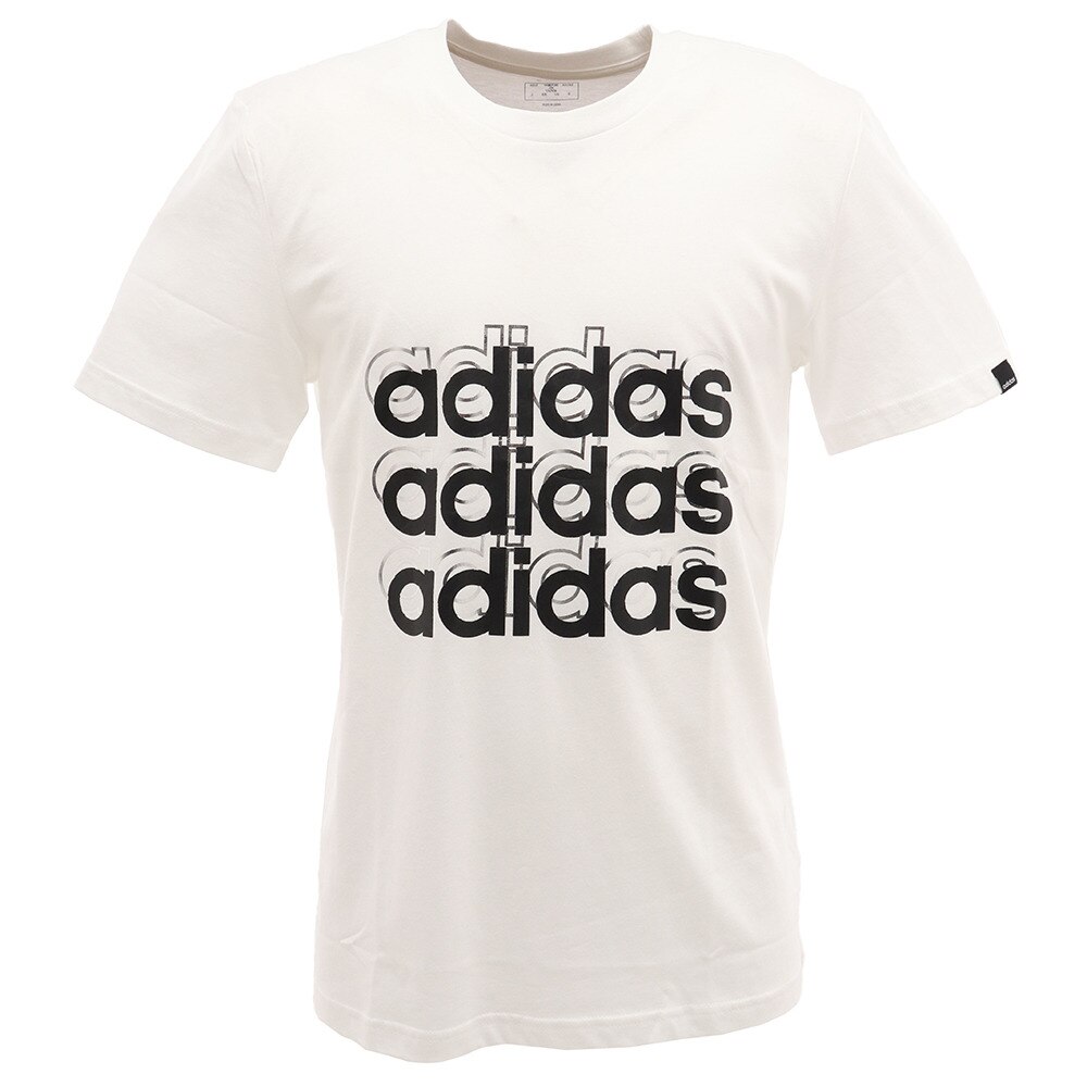  グラフィック 半袖Tシャツ GVB48-FM6249 オンライン価格