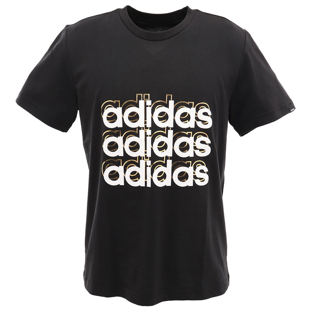  グラフィック 半袖Tシャツ GVB48-FM6250 オンライン価格
