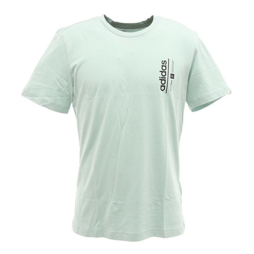  グラフィックTシャツ GVB90-FM6085 オンライン価格