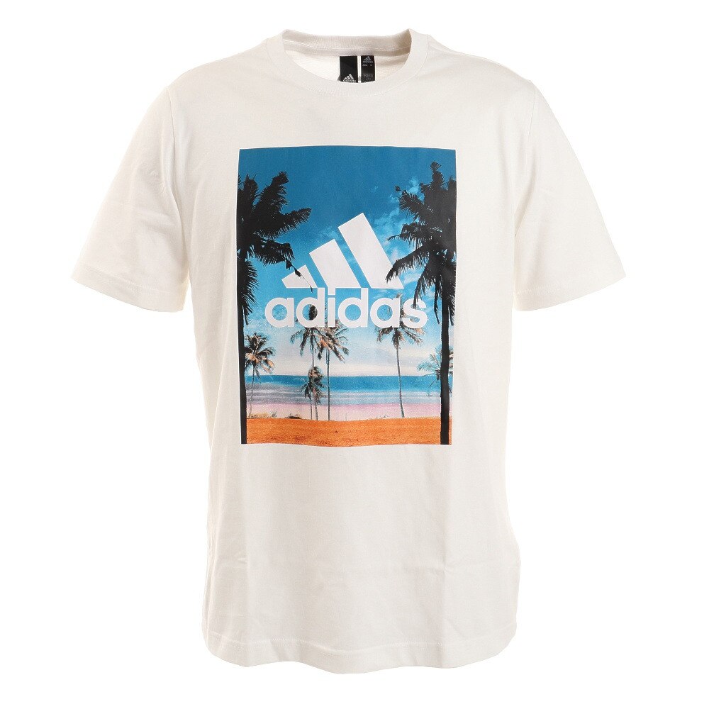  半袖 フォトTシャツ CZ973-HA3642