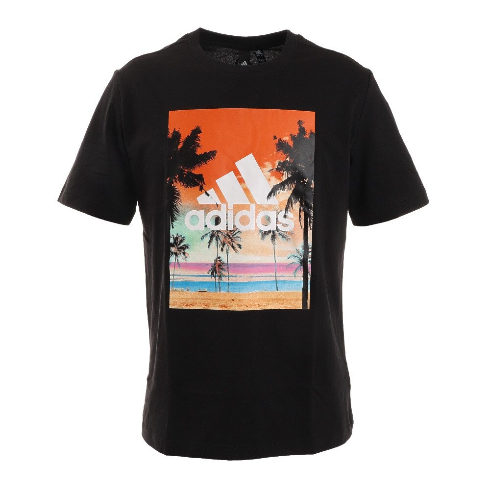  半袖 フォトTシャツ CZ973-HA3643