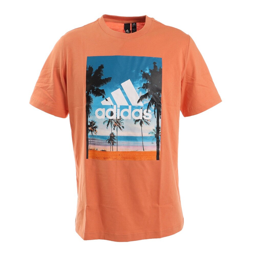  半袖 フォトTシャツ CZ973-HA3644