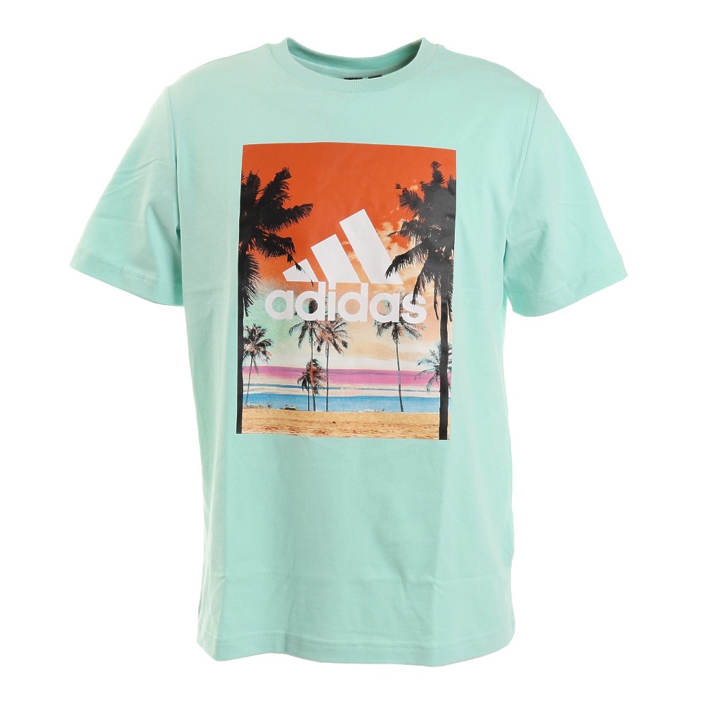  半袖 フォトTシャツ CZ973-HA3645