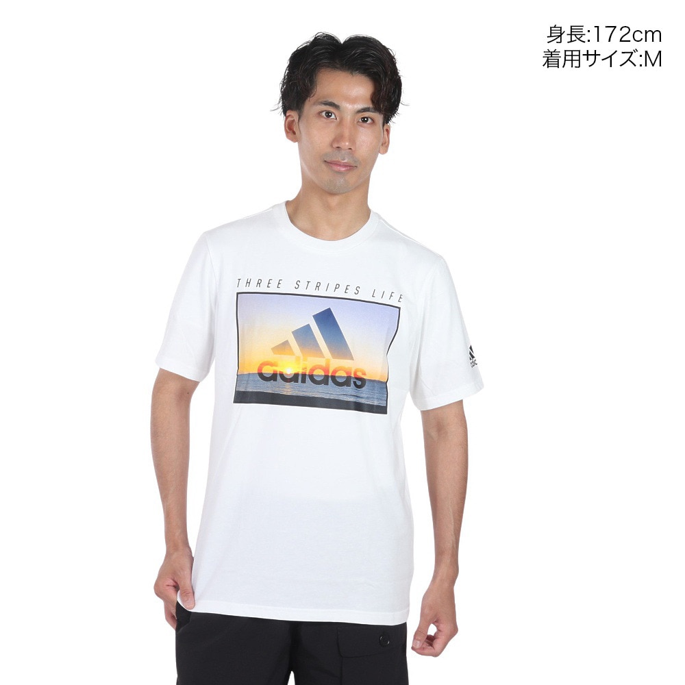 アディダス（adidas）（メンズ）半袖Tシャツ メンズ オーシャン グラフィック レギュラーフィットIJG10-IK4286