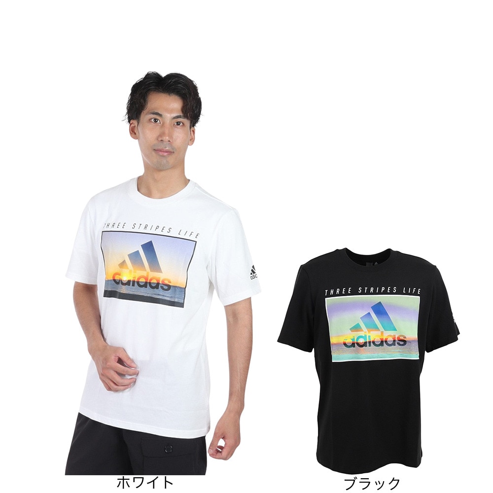 アディダス（adidas）（メンズ）半袖Tシャツ メンズ オーシャン グラフィック IJG10-IK4287 