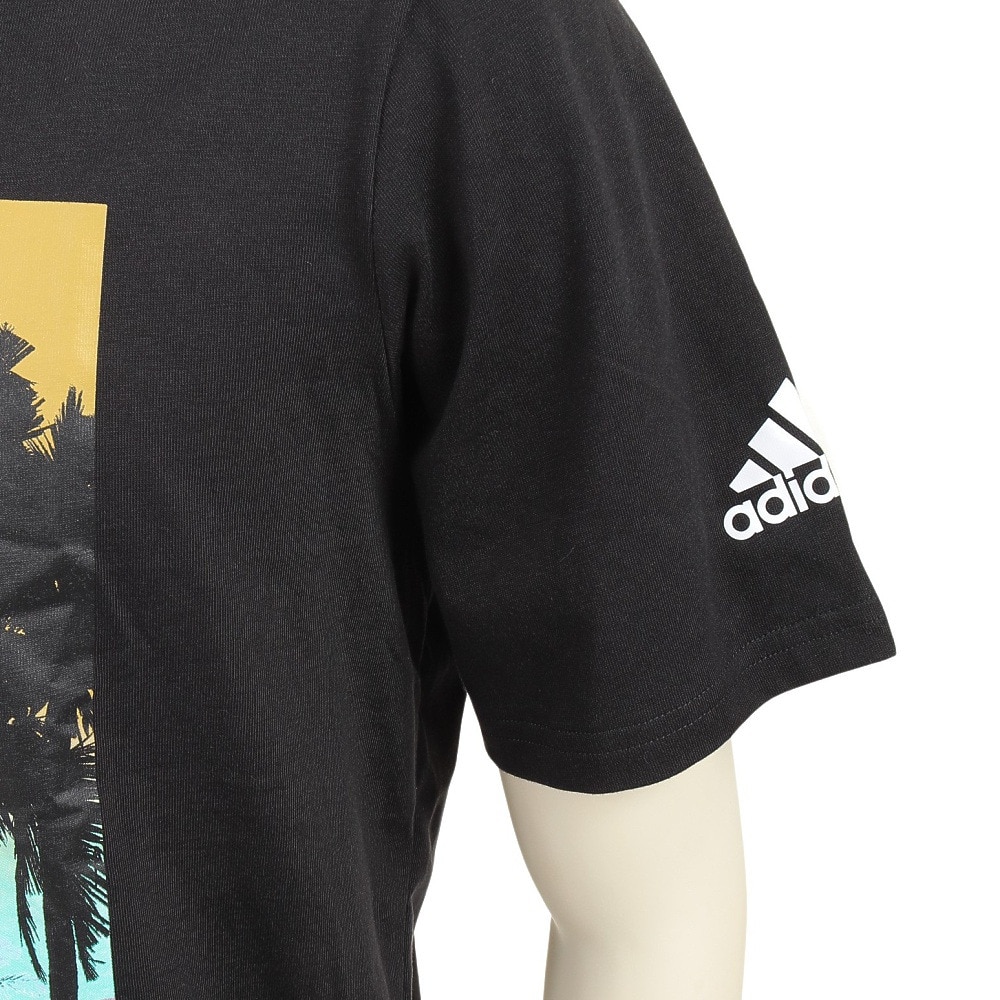 adidas Originals アディダス オリジナルス トレフォイル