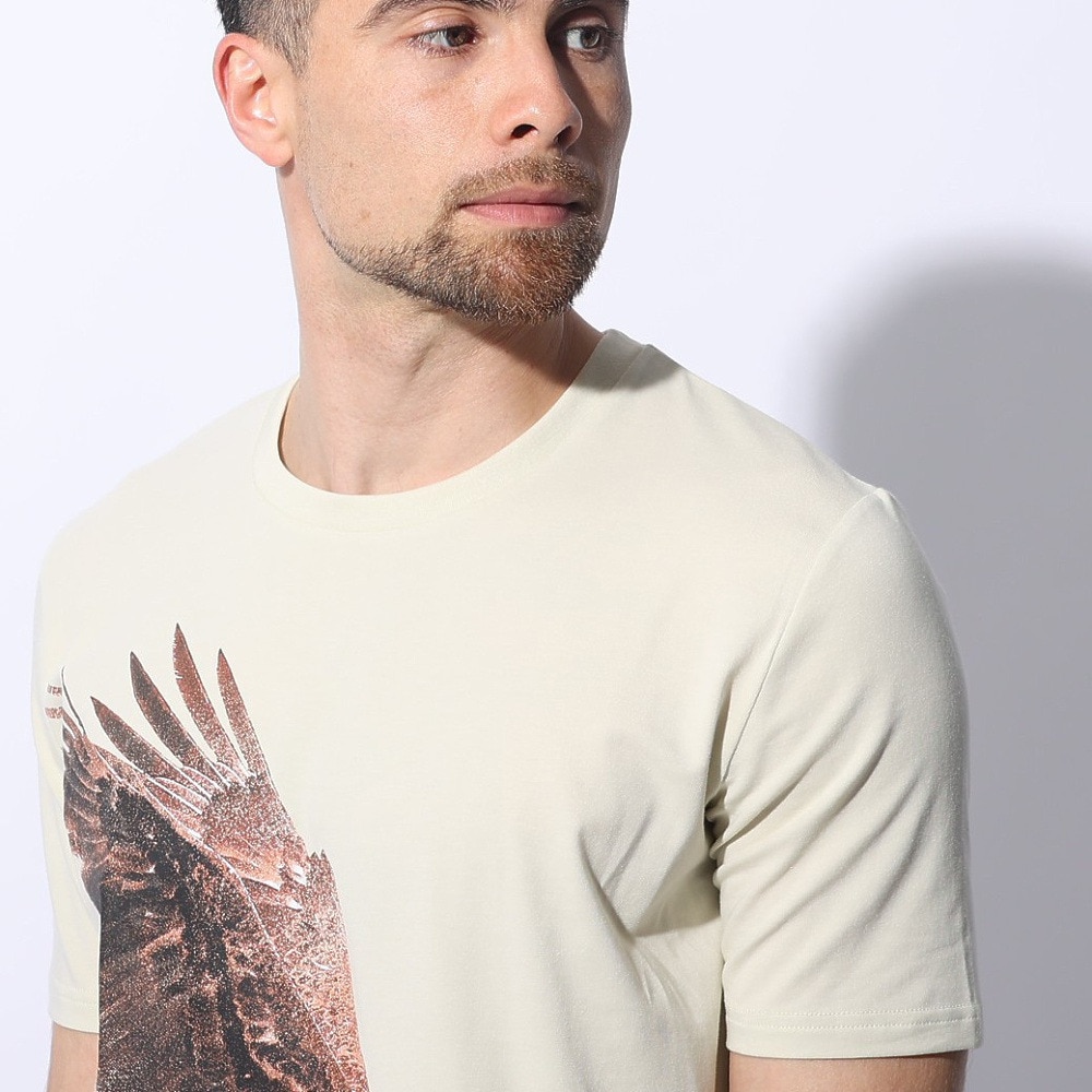 アンダーアーマー（UNDER ARMOUR）（メンズ）Project Rock Eagle グラフィック ショートスリーブTシャツ 1383224 273
