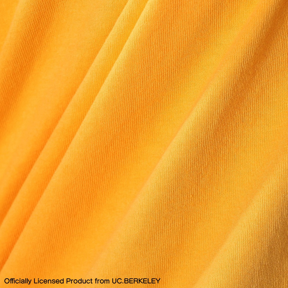 チャンピオン-ヘリテイジ（CHAMPION-HERITAGE）（メンズ）USA ティーテンイレブン カレッジ グラフィック ラグラン 半袖Tシャツ C5-Z307 740