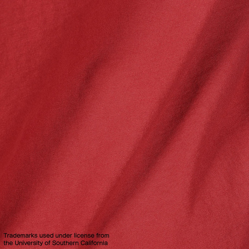 チャンピオン-ヘリテイジ（CHAMPION-HERITAGE）（メンズ）USA ティーテンイレブン カレッジ グラフィック ラグラン 半袖Tシャツ C5-Z307 960
