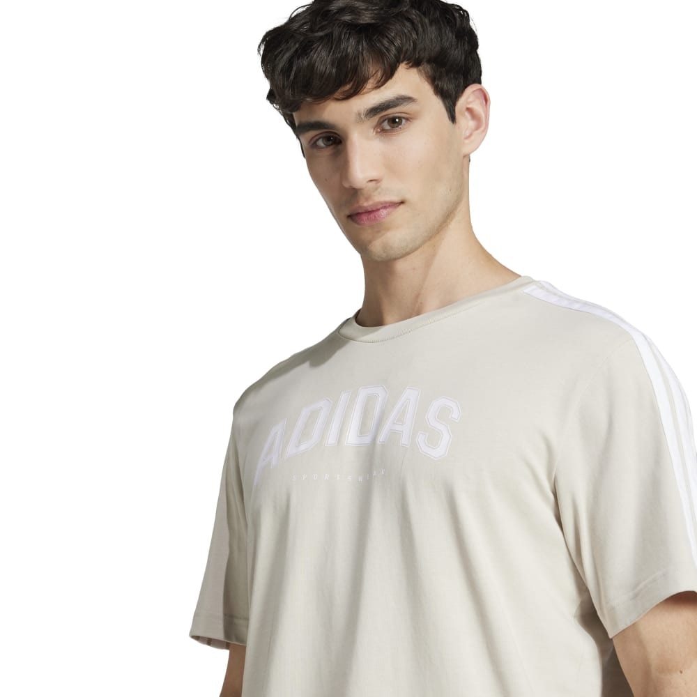 アディダス（adidas）（メンズ）Codes Collegiate リニアグラフィック 半袖Tシャツ KPJ36-JJ3870
