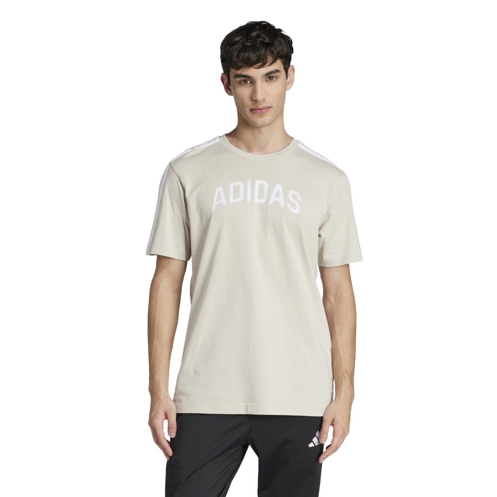 アディダス（adidas）（メンズ）Codes Collegiate リニアグラフィック 半袖Tシャツ KPJ36-JJ3870