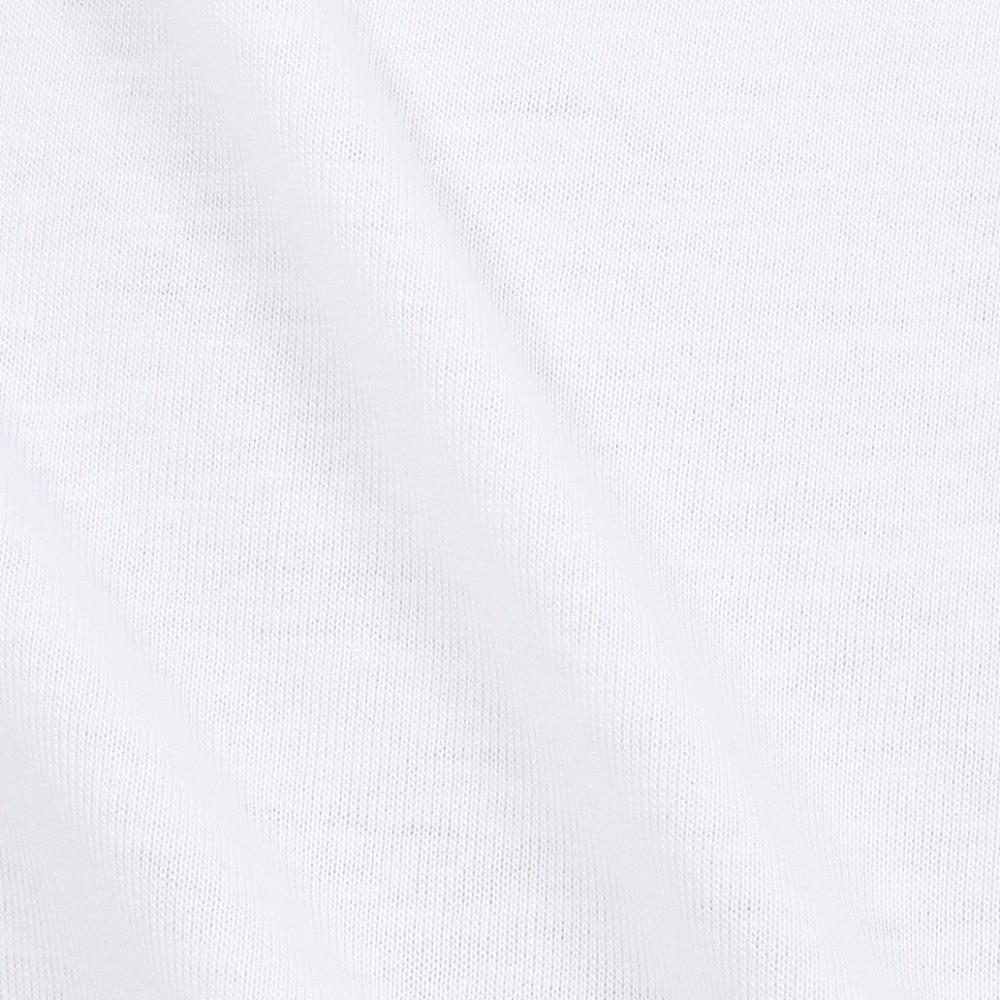 プーマ（PUMA）（メンズ）GRAPHICS プーマ バック Tシャツ 687701 02 WHT