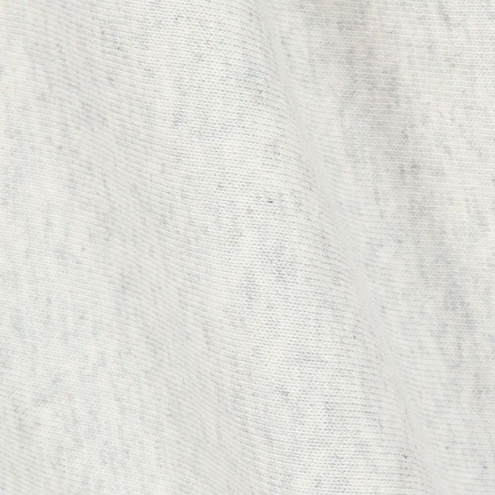 チャンピオン-ヘリテイジ（CHAMPION-HERITAGE）（メンズ）リバースウィーブ 半袖Tシャツ C3-B303 810