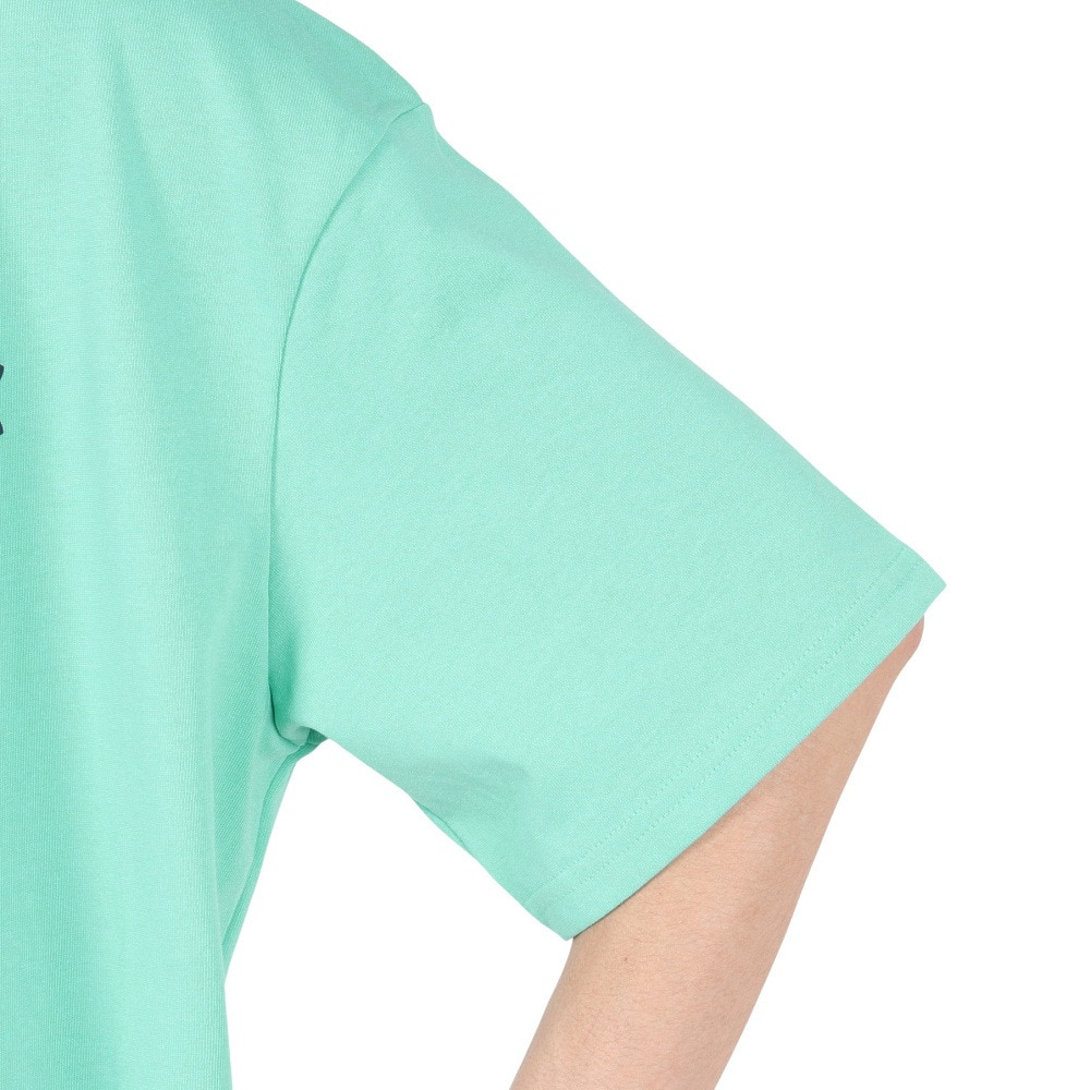アンダーアーマー（UNDER ARMOUR）（メンズ）HW COLLEGIATE 半袖Tシャツ 6007585 482