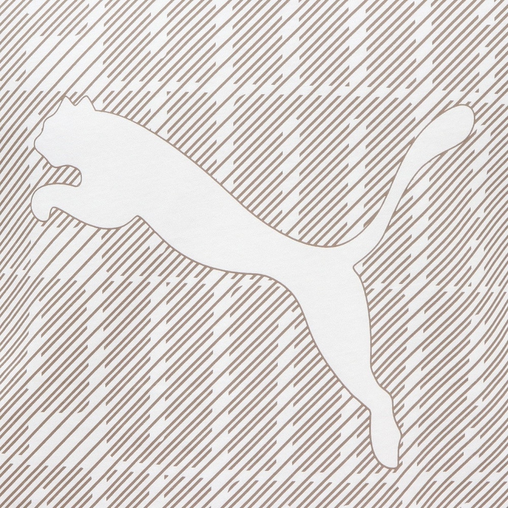 プーマ（PUMA）（メンズ）GRAPHICS ワーディング Tシャツ 687679 02 WHT