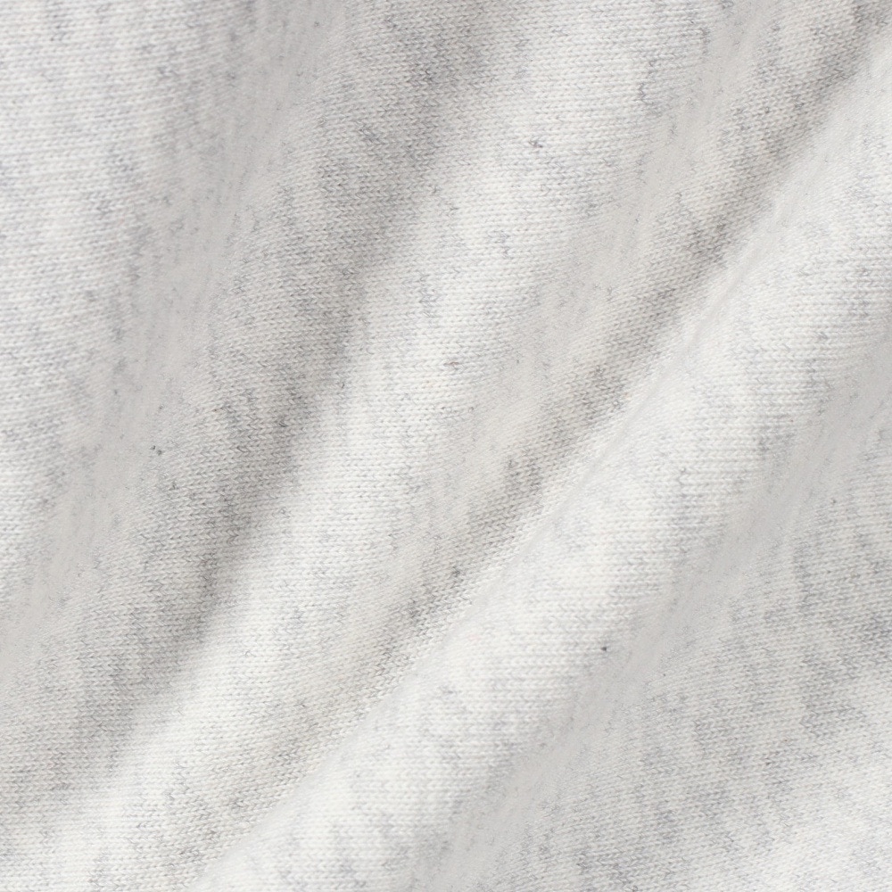 チャンピオン-ヘリテイジ（CHAMPION-HERITAGE）（メンズ）リバースウィーブ リラックス カレッジ グラフィック ショートスリーブTシャツ C3-B306 810
