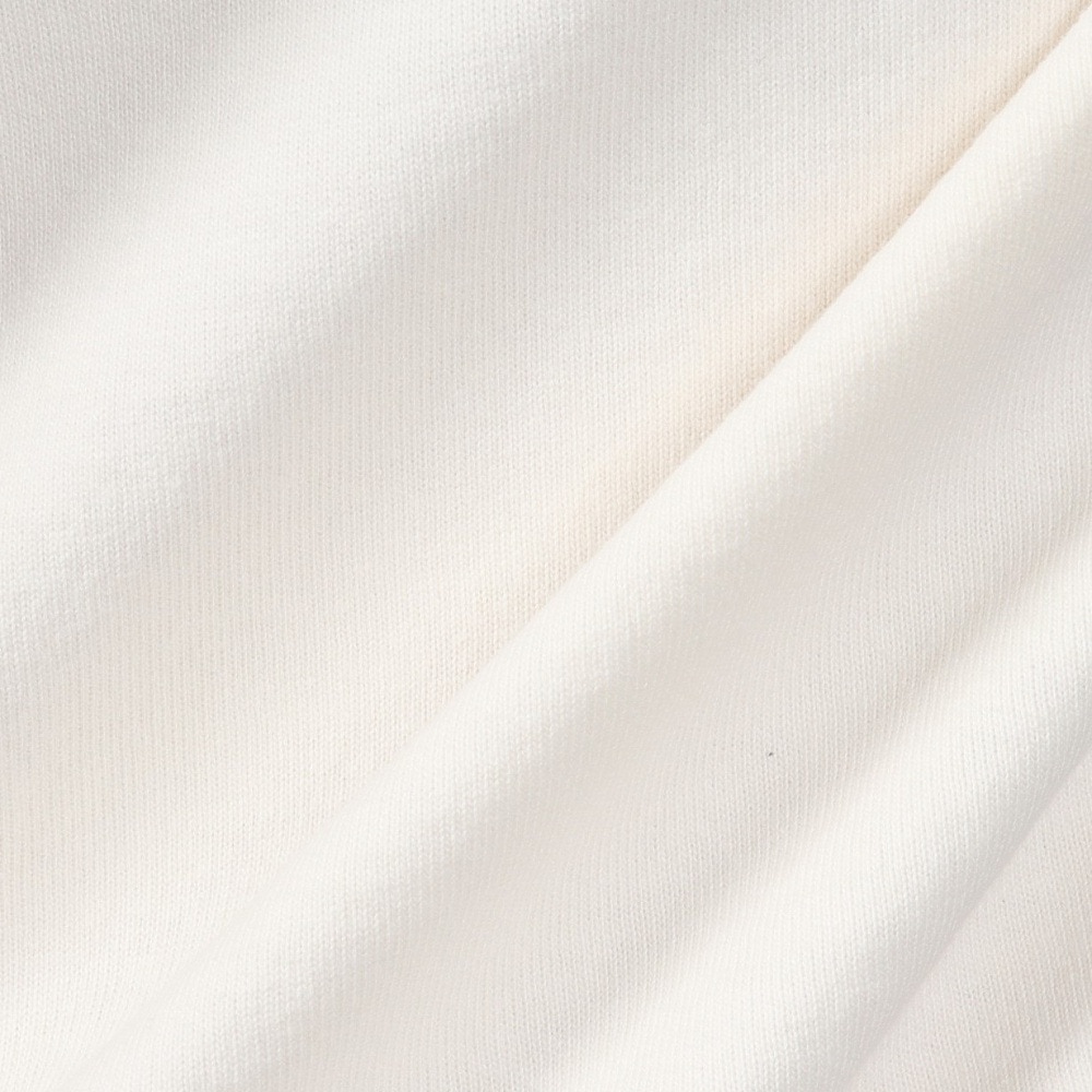 チャンピオン-ヘリテイジ（CHAMPION-HERITAGE）（メンズ）リラックス STONE BIO COLLEGET ショートスリーブTシャツ C3-B323 020