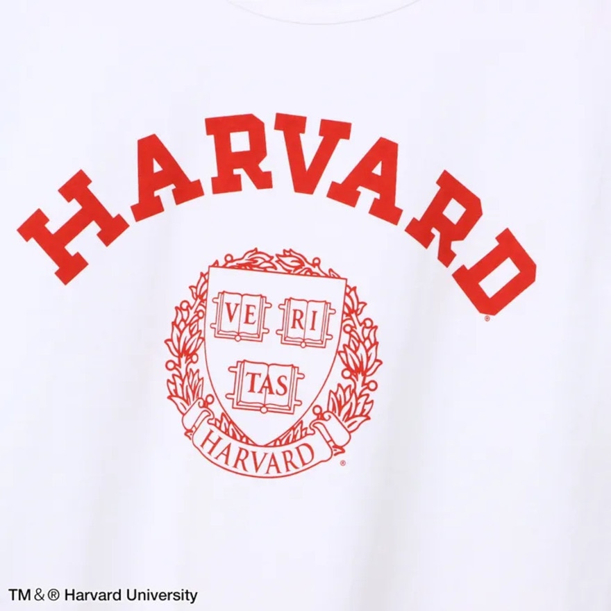 チャンピオン-ヘリテイジ（CHAMPION-HERITAGE）（メンズ）USA T1011 ショートスリーブTシャツ C5-B307 019