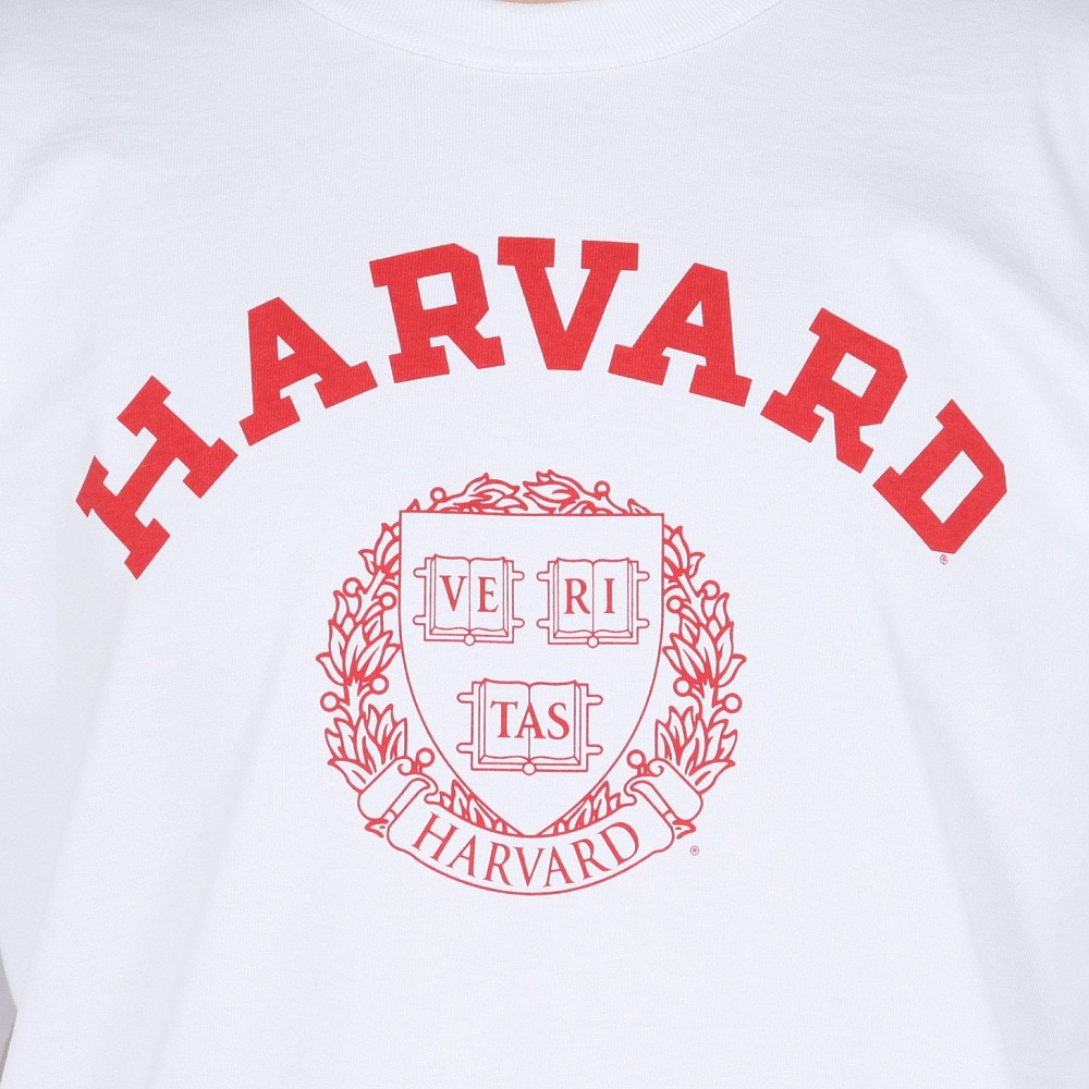 チャンピオン-ヘリテイジ（CHAMPION-HERITAGE）（メンズ）USA T1011 ショートスリーブTシャツ C5-B307 019