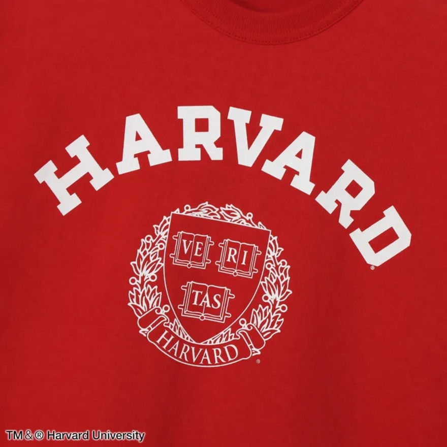 チャンピオン-ヘリテイジ（CHAMPION-HERITAGE）（メンズ）USA T1011 ショートスリーブTシャツ C5-B307 973
