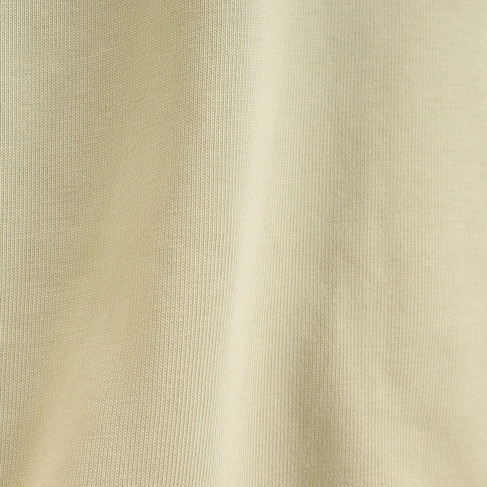 プーマ（PUMA）（メンズ）Tシャツ メンズ 半袖 ドライ 速乾 STYLE TECH 671094 33 BEG