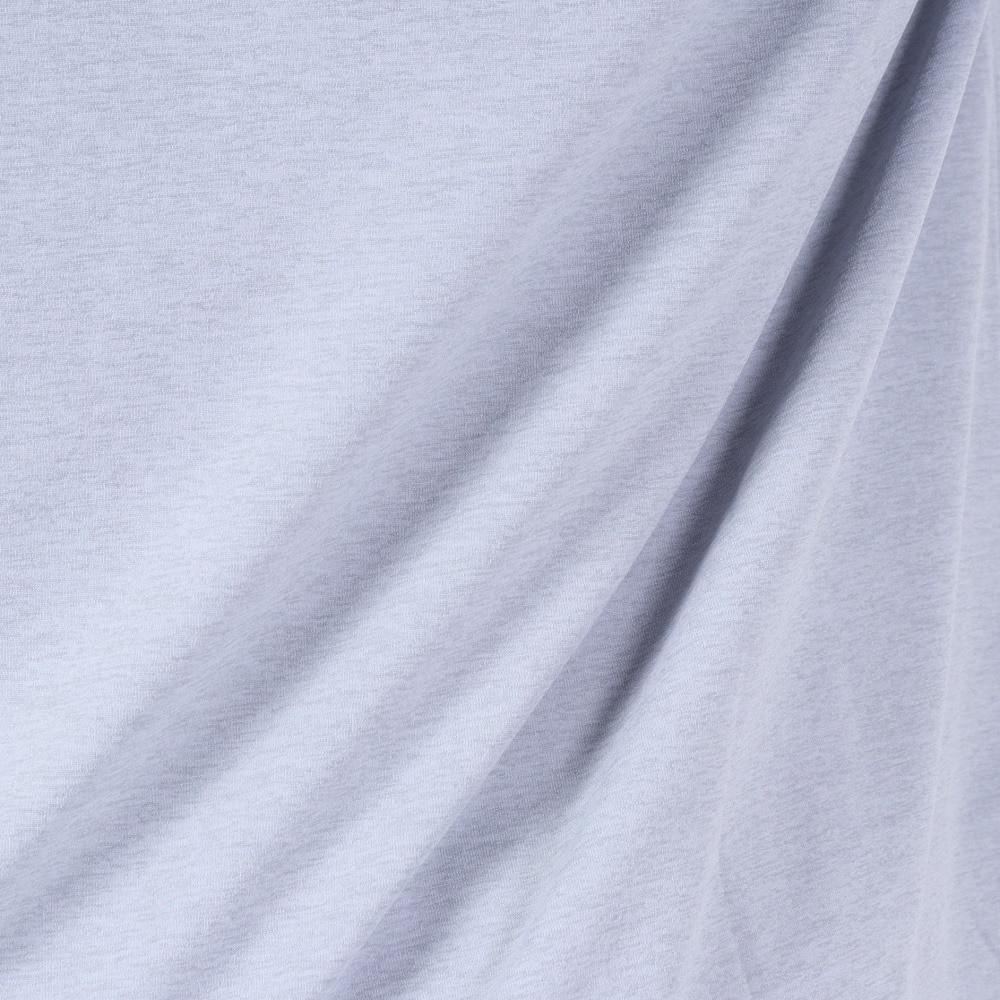 デサント（DESCENTE）（メンズ）半袖Tシャツ メンズ アイコニックロゴ ショートスリーブシャツ DMMVJA59 GYM