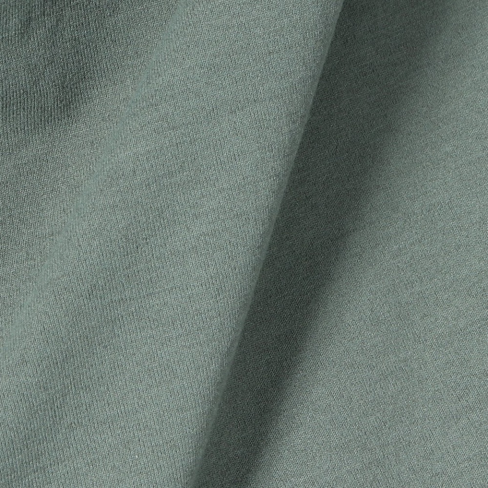 ザ・ノース・フェイス（THE NORTH FACE）（メンズ）ショートスリーブ イーエス ビッグロゴ 半袖 Tシャツ NT32581 DG