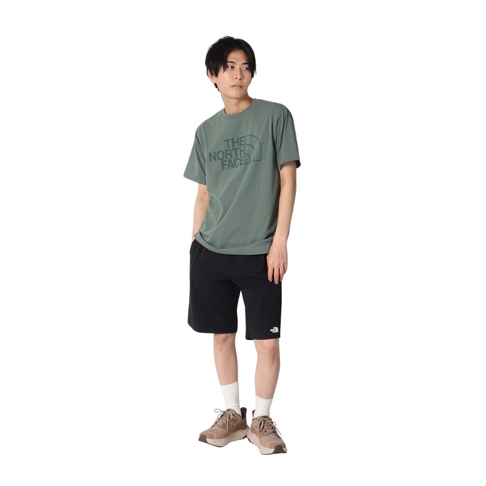 ザ・ノース・フェイス（THE NORTH FACE）（メンズ）ショートスリーブ イーエス ビッグロゴ 半袖 Tシャツ NT32581 DG