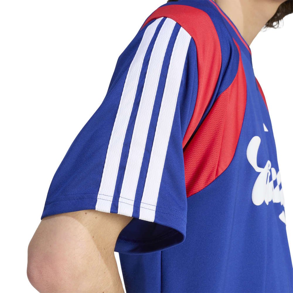 アディダス（adidas）（メンズ）ハウス オブ ティロ ネイションズ パック トラックトップ 半袖Tシャツ RG055-KF2148