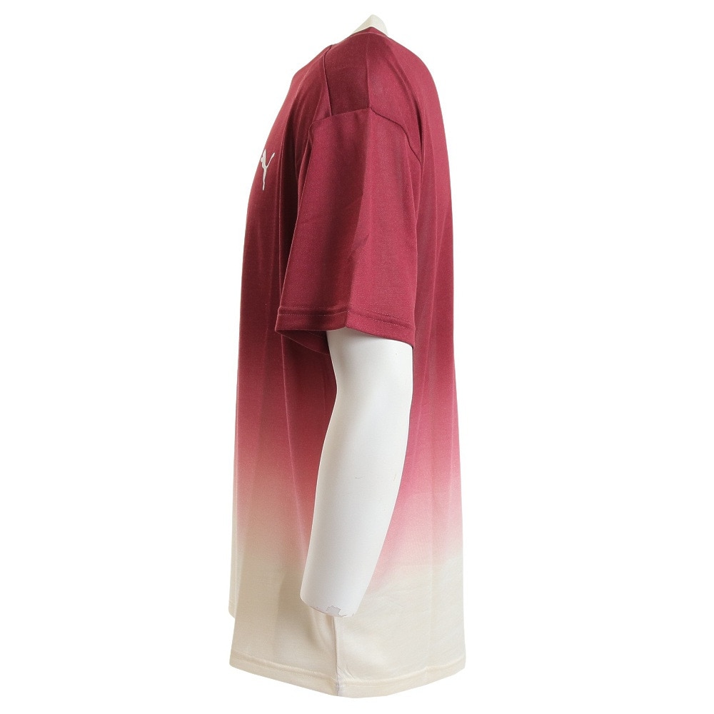 プーマ（PUMA）（メンズ）半袖Tシャツ メンズ STYLE TECH AOP 676861 49 ENJ