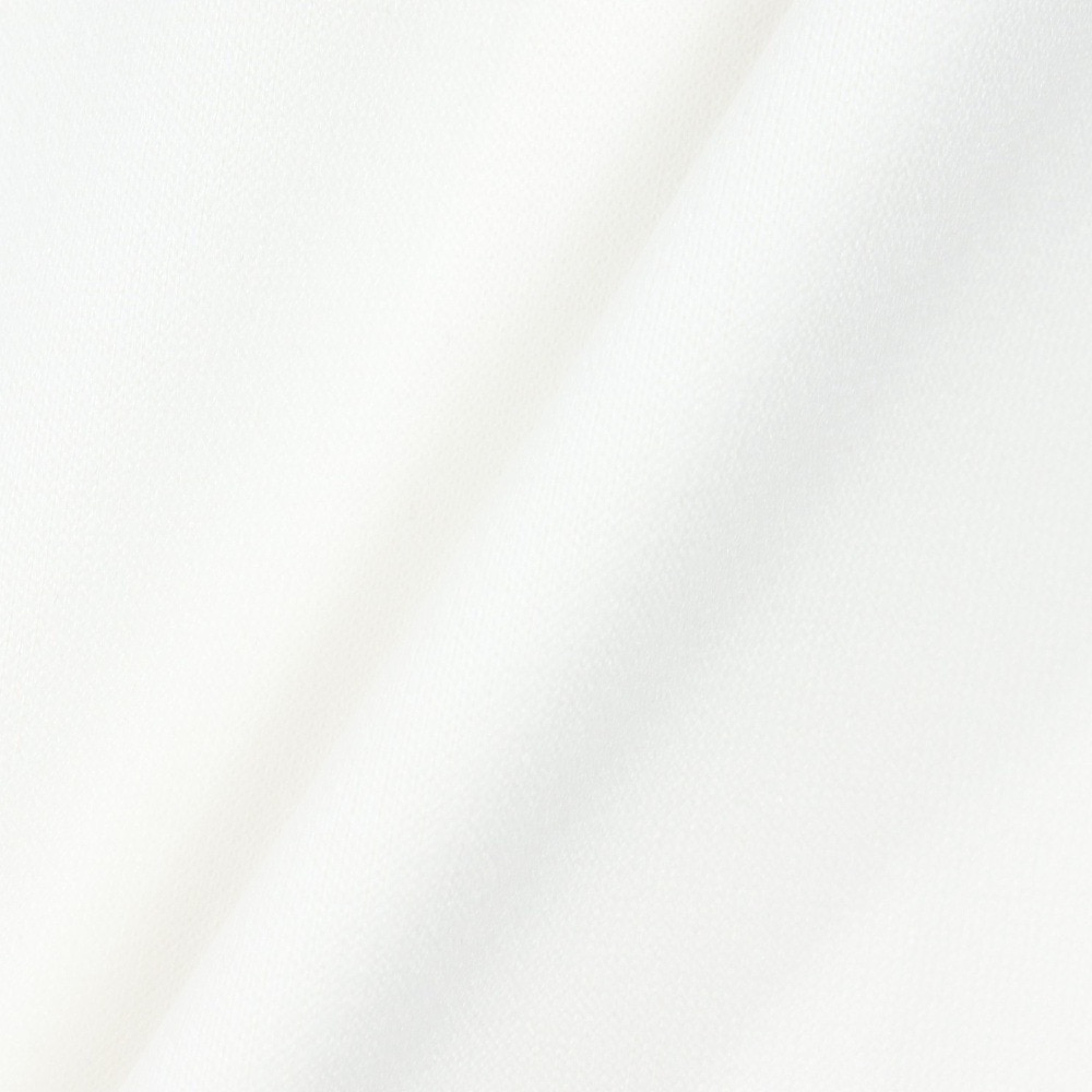 ハーレー（HURLEY）（メンズ）ファントム サマー スウェット ショートスリーブTシャツ MCSS251134-WHT