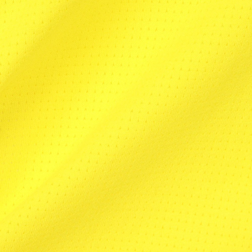デュアリグ（DUARIG）（メンズ）BASIC ドライプラス PBTMESH 半袖Tシャツ 6S0018-TRCT-863CD YEL