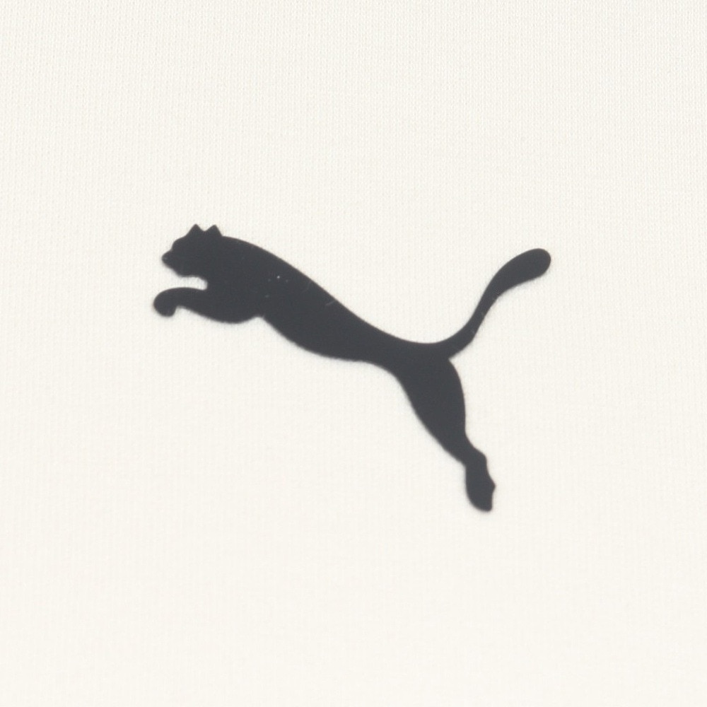 プーマ（PUMA）（メンズ）プーマ テック スウェット Tシャツ 半袖 DK 681840 87 BEG