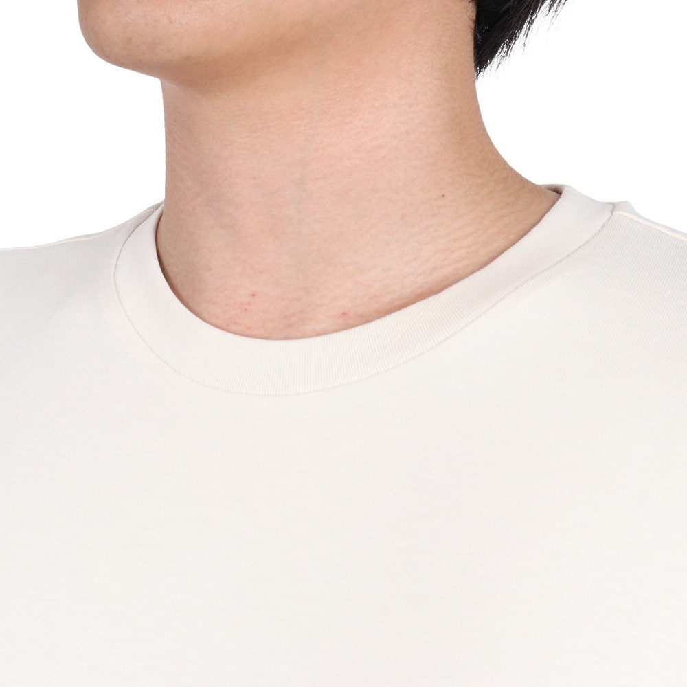 プーマ（PUMA）（メンズ）STYLE TECH 長袖 グラフィックTシャツ 679541 87 BEG