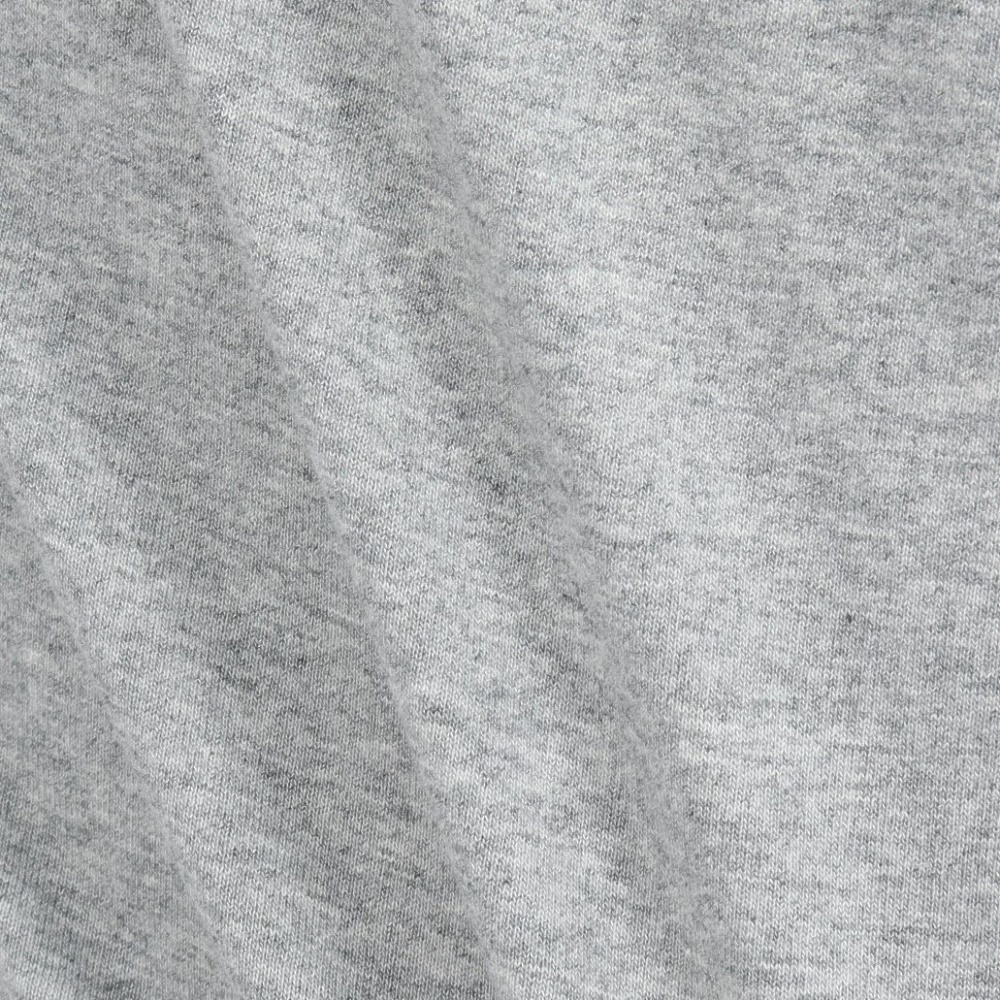 チャンピオン-ヘリテイジ（CHAMPION-HERITAGE）（メンズ）BA COLLEGE GR ロングスリーブTシャツ C3-B410 070
