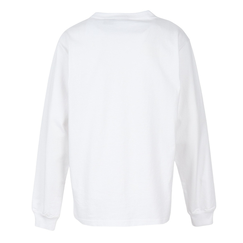 チャンピオン-ヘリテイジ（CHAMPION-HERITAGE）（メンズ）USA T1011 長袖Tシャツ BROWN C5-C406 010
