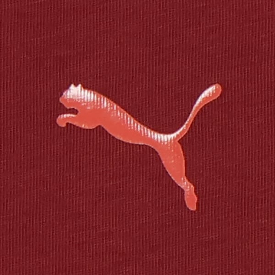プーマ（PUMA）（メンズ）ESS MX リラックスド キャット 長袖Tシャツ 690355 96 RSB