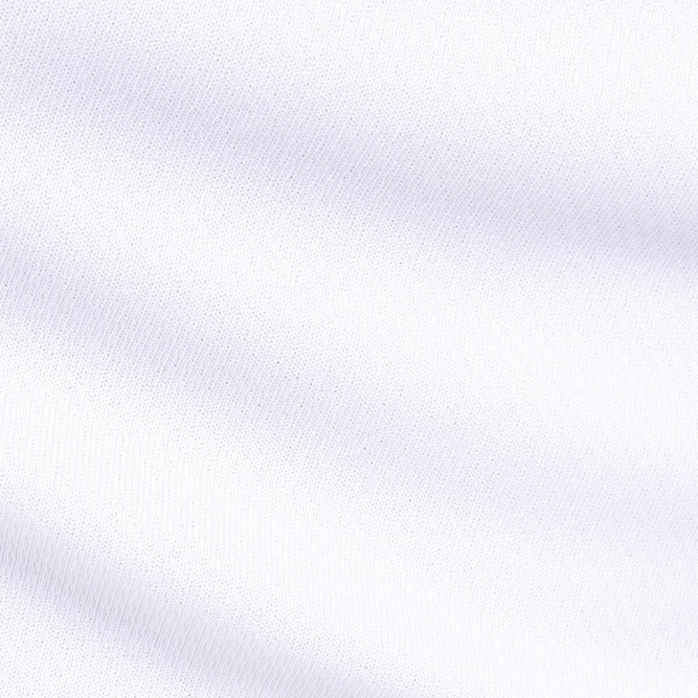 デサント（DESCENTE）（メンズ、レディース）オーセンティックロゴ ポロシャツ ST4FHSZ2XB WH00