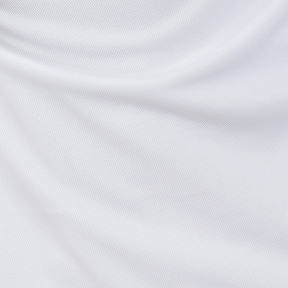 デサント（DESCENTE）（メンズ）長袖ポロシャツ メンズ 白 DX-C2362XB WH