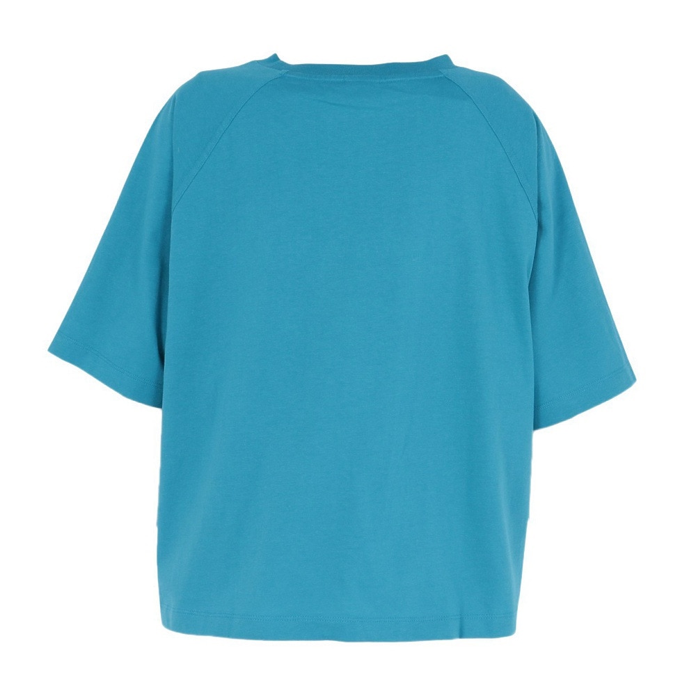 チャンピオン-ヘリテイジ（CHAMPION-HERITAGE）（レディース）ラグラン ショートスリーブ Tシャツ CW-B314 428