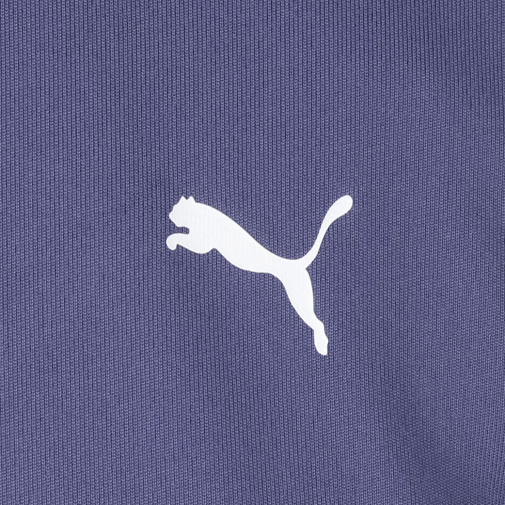 プーマ（PUMA）（レディース）トレーニング TAD ベーシック 半袖 Tシャツ 527034 46 BGRY