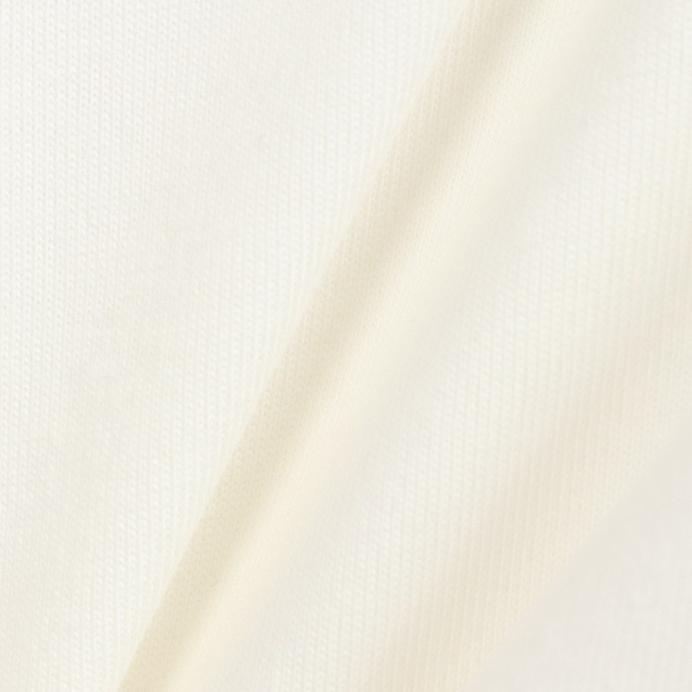 ナイキ（NIKE）（レディース）長袖Tシャツ レディース ウィメンズ NSW NCPS FJ5232-133