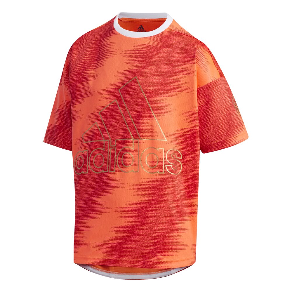 ボーイズ スポーツインスパイア Tシャツ GSV25-FM2894 オンライン価格