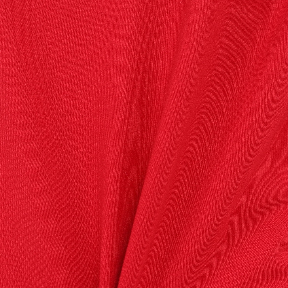 ナイキ（NIKE）（キッズ）ジュニア NSW RMSTRD ノスタルジア 半袖 Tシャツ DV0574-687