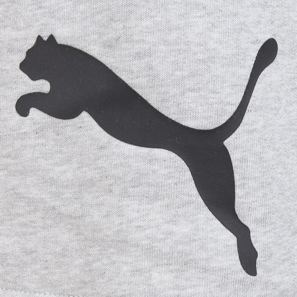 プーマ（PUMA）（メンズ）パンツ メンズ PUMA POWER ショーツ 675730 04 LGRY