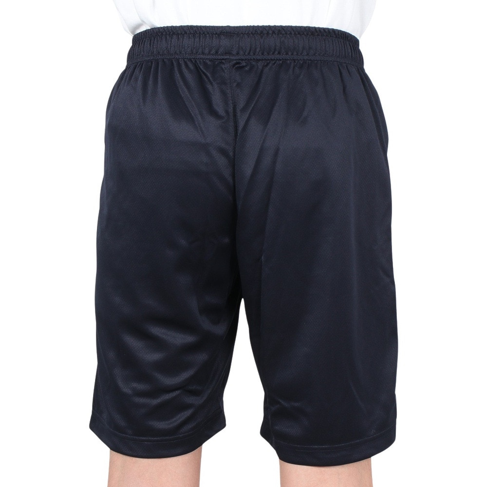 カンタベリー（canterbury）（メンズ）ハーフパンツ メンズ ドライ FLEXCOOL RA23136 29 