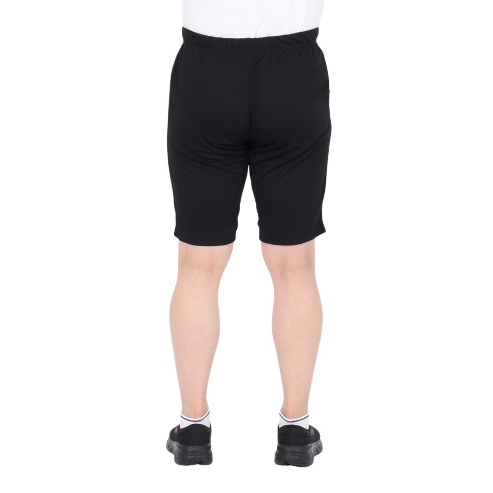 デサント（DESCENTE）（メンズ）ドライメッシュ ビックロゴ ハーフパンツ ST5SHP00M BK00